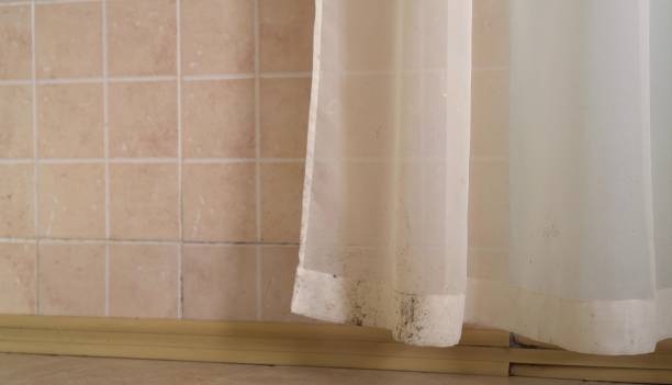 Best Indoor Air Quality Assessment  in White City, UT