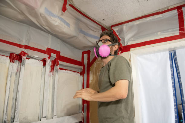 Best Mold Damage Restoration  in White City, UT