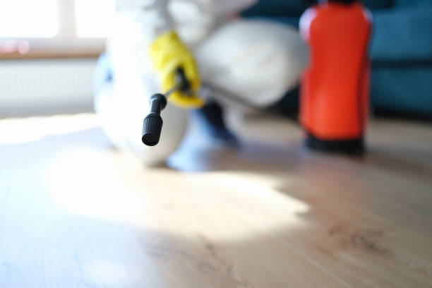 Best Air Quality Testing for Mold Spores  in White City, UT