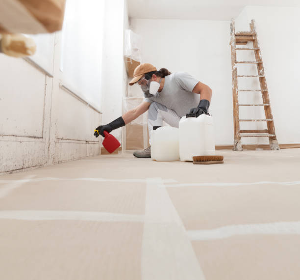 Best Post-Construction Mold Inspection  in White City, UT