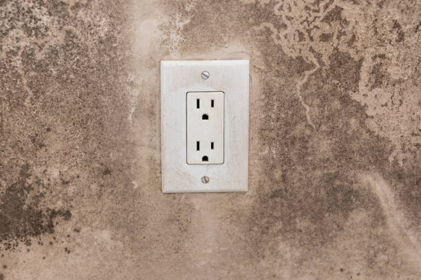 Mold Remediation for Rental Properties in White City, UT